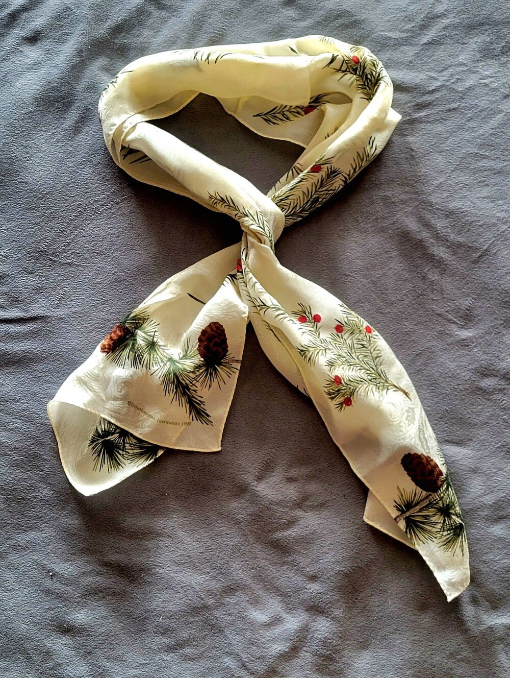 Vintage Silk Scarf - Smithsonian Institution 1999